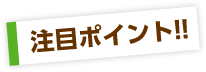 注目ポイント